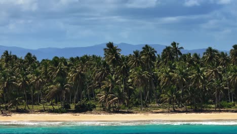 Palmeras-Junto-A-Una-Playa-De-Arena-Vacía-En-Un-Día-Nublado-En-La-Bahía-De-Samaná,-Panorámica-Aérea