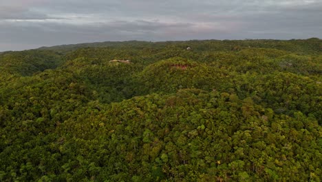 Drohnenaufnahmen-Des-Dschungels-Von-Siquijor-Auf-Den-Philippinen