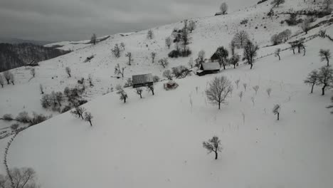 Schneebedeckte-Cindrel-Berge-Mit-Spärlichen-Bäumen-Und-Wanderwegen,-Im-Winter,-Luftaufnahme