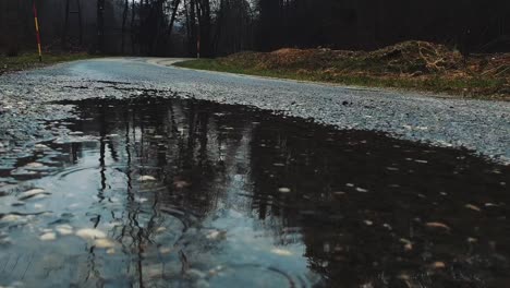 Primer-Plano,-Charco-Fangoso,-Gotas-De-Lluvia-Y-árboles-Reflejándose-En-El-Agua