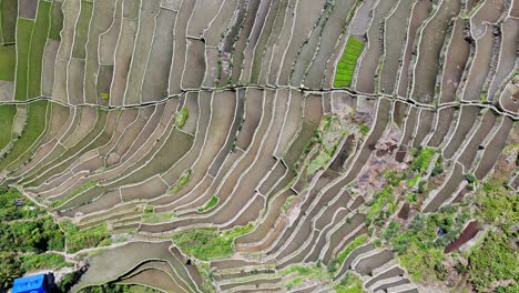 Top-down-drone-footage-of-the-famous-Batad-rice-terraces-in-north-Philippines