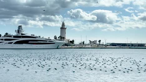 A-group-of-seagulls-in-the-water-and-a-cruise-ship-in-the-distance,-as-well-as-La-Farola-de-Málaga,-a-distinctive-lighthouse-in-Málaga,-Andalusia,-Spain