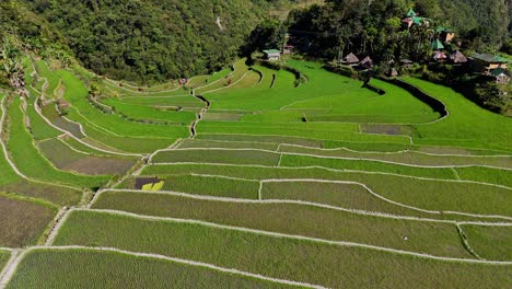 Close-drone-footage-of-the-famous-Batad-green-rice-terraces-in-north-Philippines-during-dawn