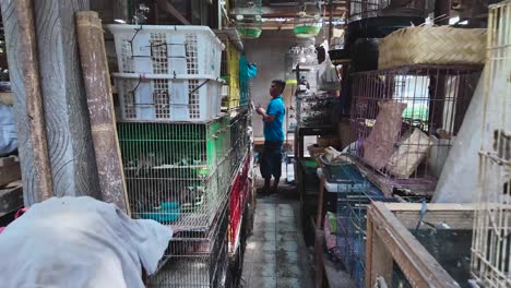 PASTY-Zona-Hewan:-Slow-motion-video-of-Many-bird-cages-in-a-bird-market-shop-in-a-traditional-and-cultural-action-of-Indonesia---Yogyakarta,-Indonesia