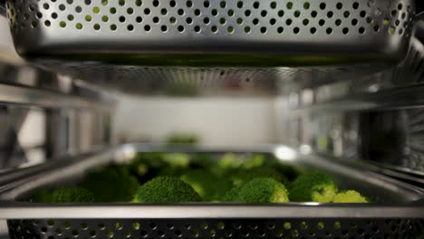 Fresh-broccoli-steaming-in-an-industrial-kitchen-oven,-from-an-interior-perspective,-shallow-focus