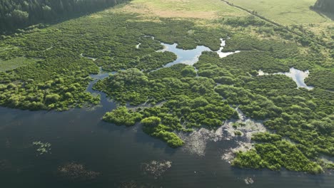 Toma-Aérea-De-La-Costa-Norte-Del-Lago-Spirit-Bordeada-De-Marismas