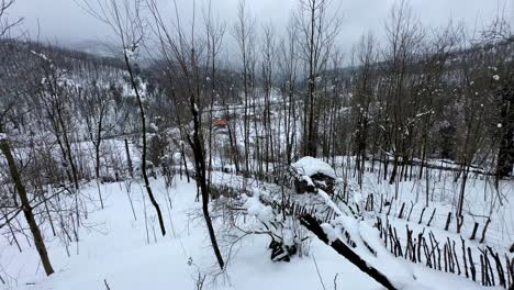 Weite-Panoramasicht-Auf-Die-Wintersaison-Im-Ländlichen-Leben,-Starker-Schneefall-In-Einem-Bergdorf-Im-Hyrkanischen-Wald,-Natürliche-Landschaft,-Wundervolles-Leben-In-Den-Bergen,-Lokale-Bevölkerung,-Landwirtschaft,-Dach-Mit-Schnee-Bedeckt