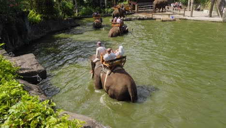 Elephant-Ride---Tourists-Rides-Elephants-Walking-In-The-Water-In-Bali-Zoo,-Indonesia