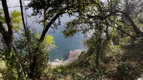 Sea-from-Boulders-cliff-trough-forest,-Opatija,-Croatia