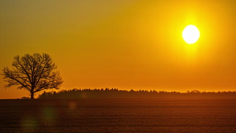Aus-Nächster-Nähe-Sonnenaufgang-Zeitraffer-Natur-Hoffnung-Tagesbeginn-Schöner-Goldener-Himmel