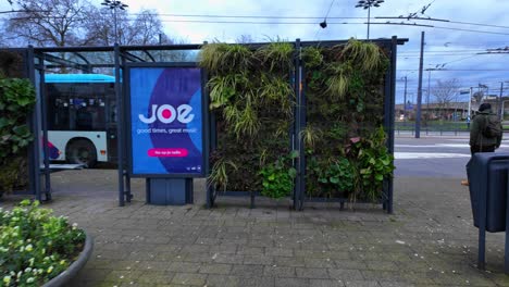 Refugio-De-Parada-De-Autobús-De-La-Ciudad-Holandesa-Con-Jardín-Vertical-En-El-Centro-De-La-Ciudad-De-Arnhem