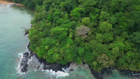 Luftaufnahme-Von-Der-Küste-Und-Dem-Luxuriösen-Wald-Auf-Prince-Island,-Afrika