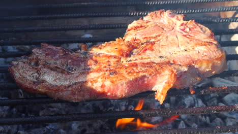 Asar-Un-Jugoso-Filete-De-Ternera-En-Una-Parrilla-Con-Carbón,-Asar-En-Un-Parque,-Deliciosa-Comida-De-Barbacoa,-Toma-De-4k