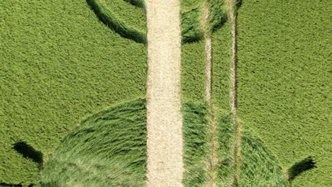 Mirando-Hacia-Winterbourne-Bassett-Campo-De-Cebada-Círculo-De-Cultivo-Vista-Aérea-En-Aumento-Destruida-Por-El-Granjero-De-Wilshire