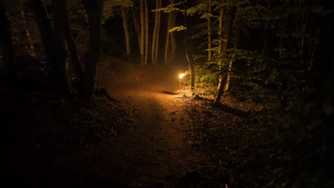 Llamas-Parpadeantes-De-Una-Antorcha-Que-Ilumina-El-Camino-En-Medio-De-Un-Bosque-De-Robles-En-La-Cima-De-La-Montaña-Strandzha-En-Bulgaria