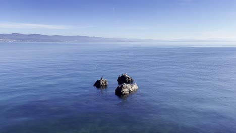 Gaviotas-Y-Una-Grúa-Descansando-Sobre-Rocas-En-La-Orilla-Del-Mar-Con-Una-Isla-A-Lo-Lejos,-Opatija,-Croacia