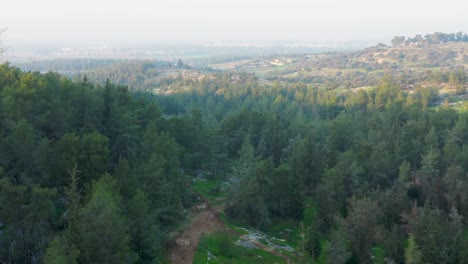 Heavy-forested-region-with-dirt-road-winding-down-mountainside,-view-of-river-and-town-in-distance