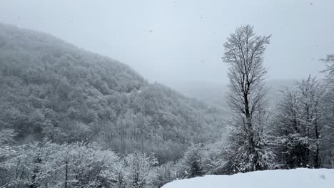 Alleinstehender-Baum-Im-Wald-Zur-Wintersaison,-Starker-Schneefall-In-Der-Natur,-Landschaftsreisekonzept,-Skifahren-In-Alpinen-Eisigen-Waldhügeln,-Malerische-Aussicht-Auf-Campingplatz,-Trekking-Abenteuer-Im-Nahen-Osten