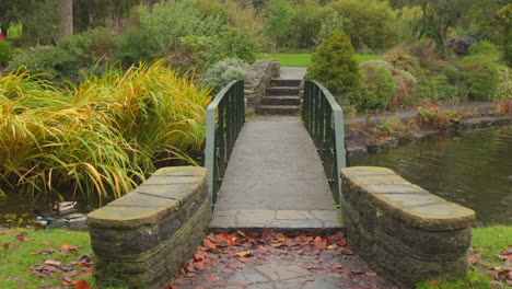 Mallard-Ducks-Swimming-Next-To-The-Bridge-In-National-Botanic-Gardens-In-Dublin,-Ireland