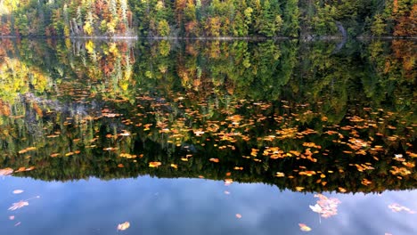 Calm-lake-on-an-autumn-day,-with-colorful-leaves-scattered-on-the-water’s-surface-reflecting-the-vibrant-hues-of-the-surrounding-trees,-captured-from-a-mid-distance-perspective