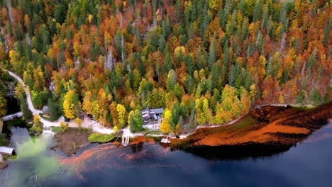 Aerial-view-of-a-lake-in-the-fall
