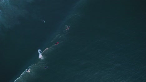 Top-down-aerial-drone-shot-of-surfers-catching-waves-at-Oceanside-beach-California