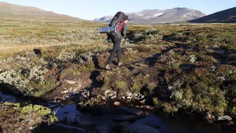 Mochilero-Masculino-Solitario-Caminando-En-El-Paisaje-Otoñal-De-La-Tundra-Escandinava-Usando-Una-Mochila-Grande