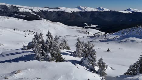 Paisaje-Invernal-De-Montañas-De-Bucegi-Con-árboles-Y-Picos-Cubiertos-De-Nieve,-Cielo-Azul-Claro
