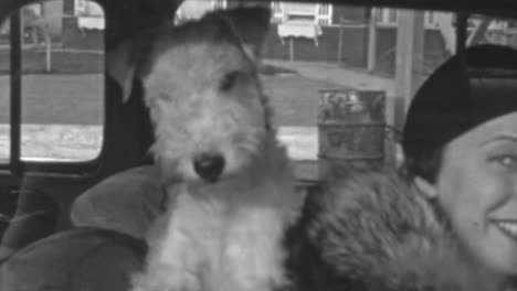 Frau-Mit-Ihrem-Hund-Sitzt-In-Einem-Oldtimer-Im-New-York-Der-1930er-Jahre