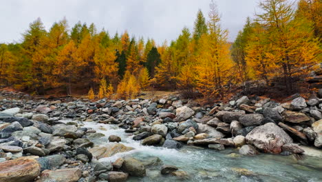 Saas-Fee-Zermatt-Saastal-alpine-valley-Switzerland-glacial-water-glacier-river-Swiss-alps-colorful-yellow-autumn-fall-Lark-tree-colors-dramatic-foggy-moody-grey-gray-mist-misty-rainy-day-static-shot