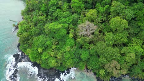 Desde-Arriba-Del-Denso-Bosque-En-La-Costa-De-Prince-Island,-Santo-Tomé,-África