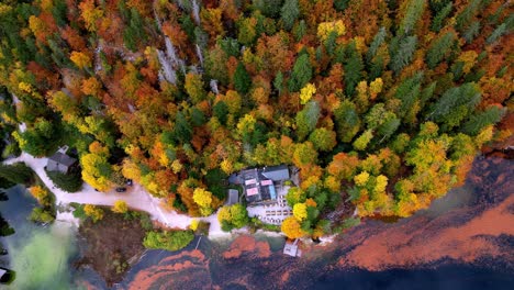 Aerial-view-of-a-small,-brown-house-in-Alps,-Topletz-lake-with-a-red-tin-roof-in-the-middle-of-a-forest-during-a-beautiful-fall-day