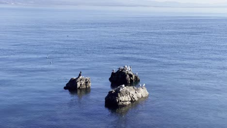 Gaviotas-Y-Una-Grúa-Descansando-Sobre-Rocas-En-La-Orilla-Del-Mar-Con-Una-Isla-A-Poca-Distancia,-Opatija,-Croacia