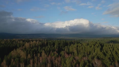 Impresionante-Vista-De-Un-Denso-Y-Verde-Bosque-Bajo-Un-Cielo-Parcialmente-Nublado-Con-Los-Tenues-Contornos-De-Las-Montañas-En-La-Distancia