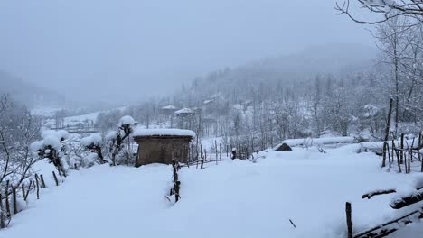 heavy-snow-in-village-forest-landscape-in-winter-roof-covered-by-snow-day-time-snow-fall-rural-life-mountain-village-countryside-farmer-local-people-living-in-highland-rice-paddy-farm-field-in-iran