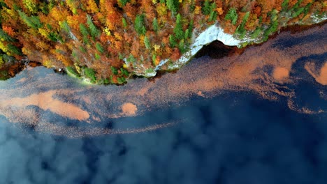 Aerial-view-of-a-lake-in-autumn