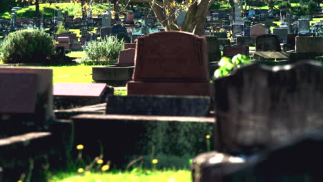 Wide-shot-of-tombstones-in-a-cemetery-on-a-sunny-day-in-Australia