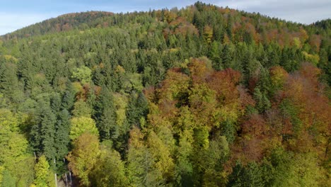 Aerial-shot-over-the-autumn-mountain-forest-during-the-fall-season