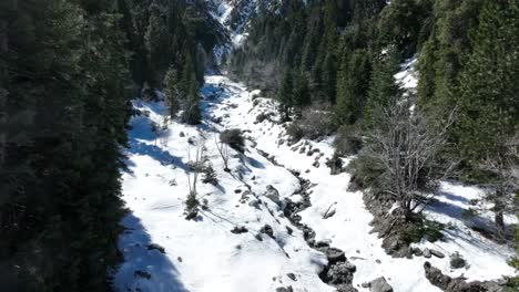 forest-falls-snow-covered-forest-mid-day-southern-California-San-Gorgonio-mountain-range-60fps