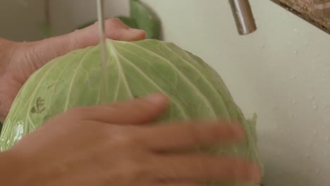Close-up-of-hands-washing-cabbage-in-running-water-at-the-kitchen-sink-showing-a-candid-moment-slow-living-and-daily-life-at-home