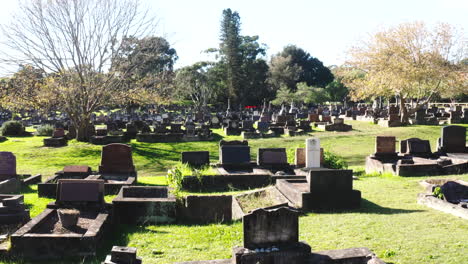 Drone-shot-flying-low-past-gravestones-and-tombs-in-a-cemetery-in-Australia