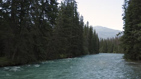 The-gentle-flow-of-a-clear-river-cutting-through-a-dense-forest-with-the-soft-light-of-early-morning-casting-a-serene-glow-over-the-trees-and-water