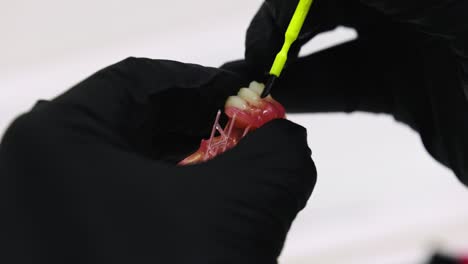 Extreme-Nahaufnahme-Eines-Zahntechnikers,-Der-Künstlichen-Zähnen-Den-Letzten-Glanz-Verleiht