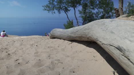 Sleeping-Bear-Sand-Dunes-National-Lakeshore-overlook-of-Lake-Michigan-in-Michigan-with-close-up-of-deadwood-and-gimbal-video-walking-forward