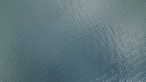 Ripples-on-water,-Top-down-view