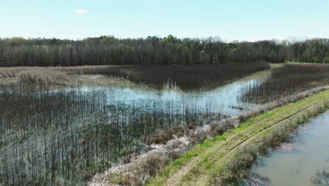 Bell-slough-wildlife-area-with-wetlands-and-bare-trees,-sunny-day,-arkansas,-usa,-aerial-view