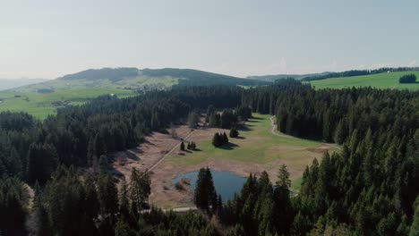 Luftaufnahmen-Von-Seen,-Wäldern-Und-Bergen-In-Der-Ländlichen-Schweiz