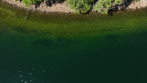 Toma-Aérea-De-Un-Dron-De-La-Costa-Del-Lago-Spirit-Al-Mediodía