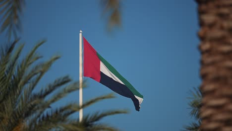 La-Bandera-De-Los-Emiratos-Árabes-Unidos-Ondeando-En-El-Asta-De-La-Bandera,-Enmarcada-Por-Palmeras,-En-La-Isla-De-La-Bandera-De-Sharjah-En-Los-Emiratos-Árabes-Unidos.