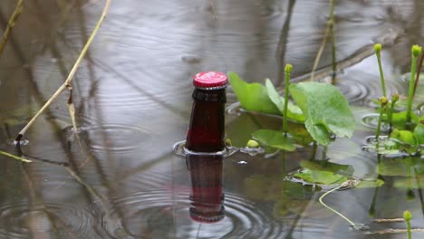 Flasche-Schwimmt-Im-Teich.-England.-Vereinigtes-Königreich